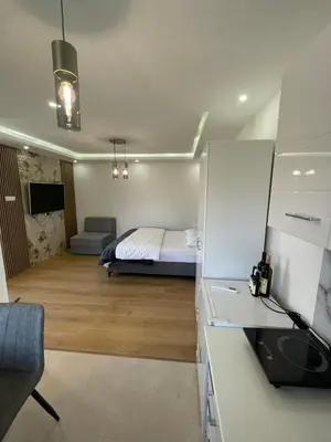 a bedroom with a bed in the middle of a room at Boskovic Apartments in Podgorica
