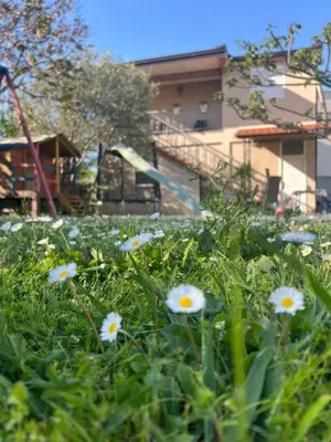 a field of flowers in front of a building at Casa di Lipa in Bar