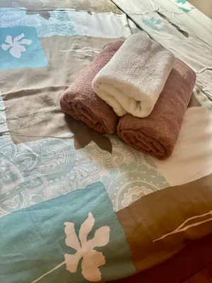 two towels sitting on top of a bed at Gold Lux in Podgorica