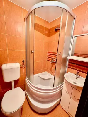 a bathroom with a shower and a toilet and a sink at Garsonjera in Kravlja