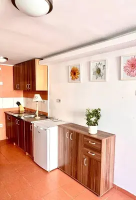 a kitchen with wooden cabinets and a white refrigerator at Garsonjera in Kravlja