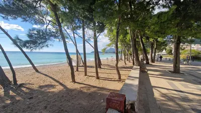 a bench on a beach next to the ocean at Apartment ENJOY in Bar