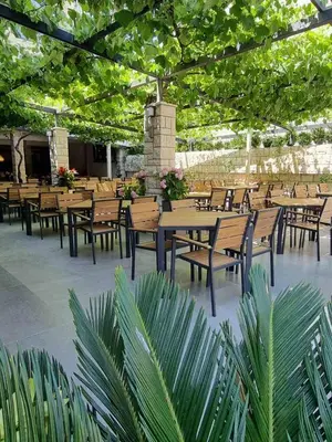 a row of wooden tables and chairs under a tree at Hotel Lobo Budva in Budva
