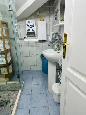 a small bathroom with a sink and a toilet at Apartment Lamer in Petrovac na Moru