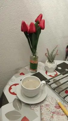 a table with a cup of coffee and a vase of red roses at Apartman ElaBi in Bar