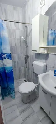 a bathroom with a toilet and a sink and a shower at Apartments Skadar Lake in Vranjina