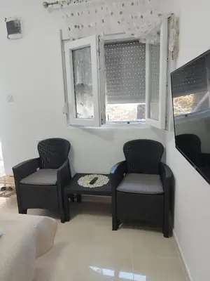 a living room with two chairs and a table at Apartments Skadar Lake in Vranjina