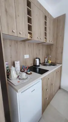a small kitchen with wooden cabinets and a counter top at Apartments Skadar Lake in Vranjina
