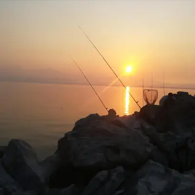 a person fishing on the rocks with the sunset in the background at Apartments Skadar Lake in Vranjina