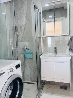 a bathroom with a washing machine and a sink at Swiss DELUXE Appartement in Dobra Voda
