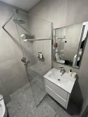 a bathroom with a shower and a sink and a mirror at Apartment Tara in Podgorica
