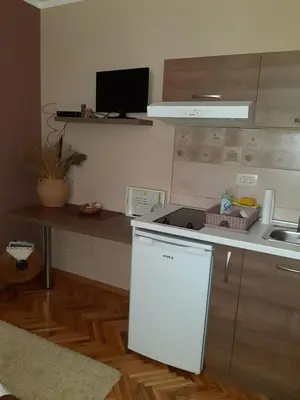 a kitchen with a white refrigerator and a sink at Apartments Ant in Budva