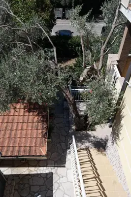 an overhead view of a tree and a walkway at Kuca Radovic in Petrovac na Moru