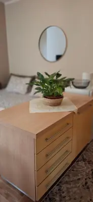 a potted plant on a wooden dresser with a mirror at Felicia Apartments in Budva