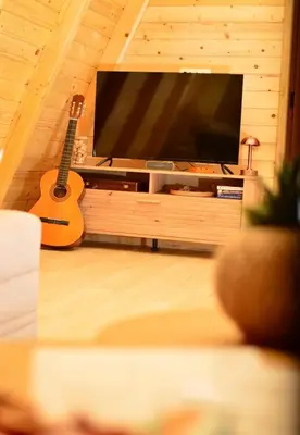 a living room with a guitar and a flat screen tv at Wooden House Šapat sela in Podgorica