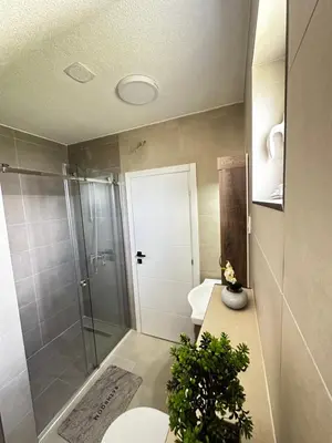 a bathroom with a shower and a toilet and a sink at Airport Apartments MM in Golubovci