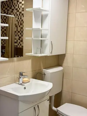 a bathroom with a sink and a toilet and a mirror at Apartman Zinzula in Petrovac na Moru