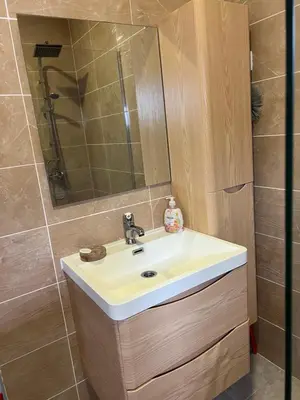 a bathroom with a sink and a shower at Vila Dior Donji Stoj in Donji Štoj