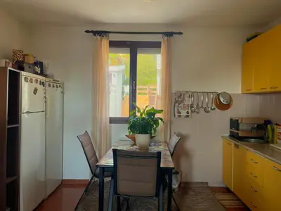 a kitchen with a table with a potted plant on it at Trosoban stan in Bar