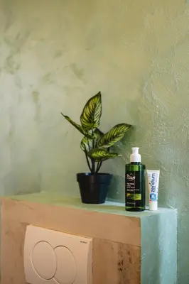 a plant sitting on top of a shelf above a toilet at Olive Hills holiday homes 3 in Dobra Voda