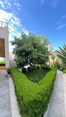a hedge in the shape of a heart next to a building at Golden Sun Apartments in Ulcinj
