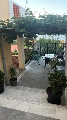a patio with a table and potted plants at Golden Sun Apartments in Ulcinj