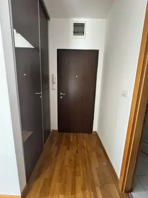 a hallway with a brown door and a wooden floor at Nema 2 in Kravlja