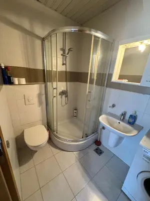 a bathroom with a shower and a toilet and a sink at Nema 2 in Kravlja