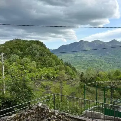 Lipovac guest house
