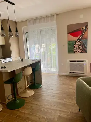 a kitchen with a table and chairs in a room at Apartman Pablo in Kotor