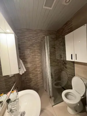 a bathroom with a toilet and a sink and a shower at Blue wave apartman in Becici