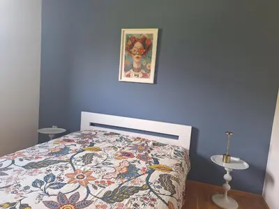 a bedroom with a bed with a blue wall at Apartment Alma in Kravlja