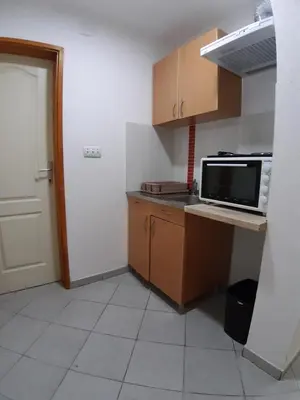a kitchen with a counter and a microwave oven at Apartments Snezana in Bar
