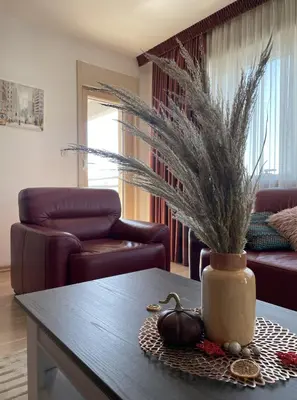 a living room with a table with a vase with a plant at DimaX Apartments in Budva