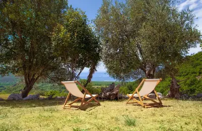 two chairs sitting in a field with trees at Eco Villa Buljarica in Buljarica