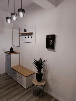 a room with a potted plant on a wall at Cozy Home in Ulcinj