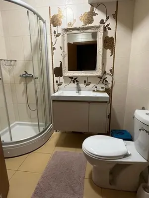 a bathroom with a toilet and a sink and a shower at sinbia apartment in Budva