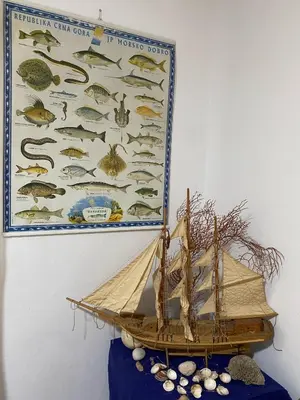 a model of a boat with a poster of fishes at Family Sea View Ulcinj in Ulcinj