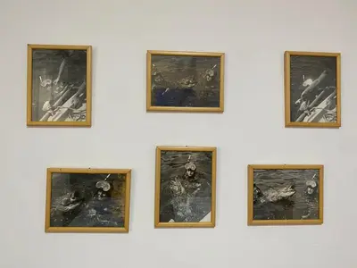 a wall of framed pictures on a white wall at Family Sea View Ulcinj in Ulcinj