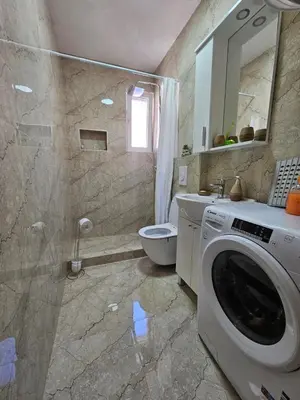 a bathroom with a washing machine and a toilet at Lutovac Apartmani in Kotor