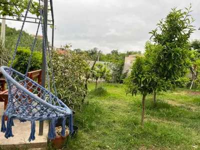 a swing in a garden with a small tree at Lutovac Apartmani in Kotor