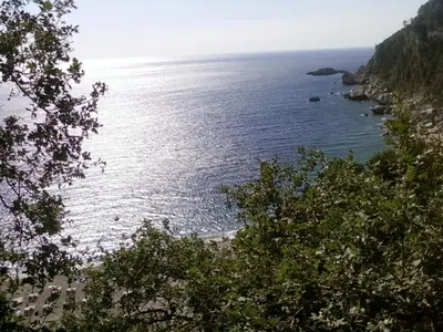 a view of the ocean from a hill with trees at Apartments Perazica Do in Sveti Stefan