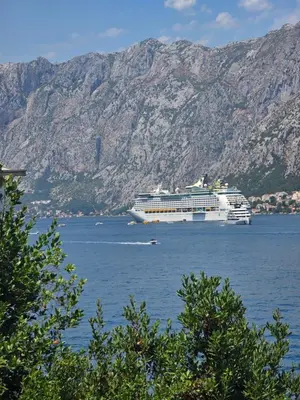 a cruise ship in a large body of water with mountains at Apartman Jelena in Kotor