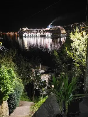 a cruise ship on the water at night at Apartman Jelena in Kotor
