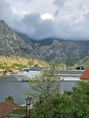 a cruise ship in the water with mountains in the background at Apartman Jelena in Kotor