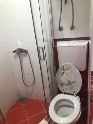 a small bathroom with a toilet with a shower at Apartmani Centar in Petrovac na Moru