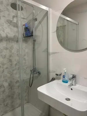 a bathroom with a shower and a sink and a mirror at Apartment Central point in Podgorica