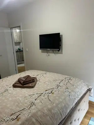 a bedroom with a bed with a flat screen tv on the wall at Apartment Central point in Podgorica