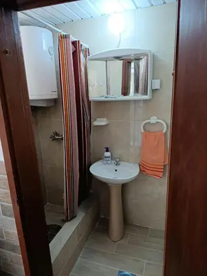 a small bathroom with a sink and a shower at Dvokrevetna soba, Spaso in Petrovac na Moru