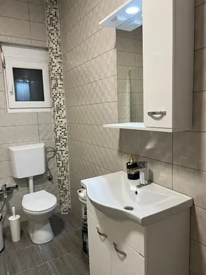 a bathroom with a white sink and a toilet at Villa House Ilda in Bar